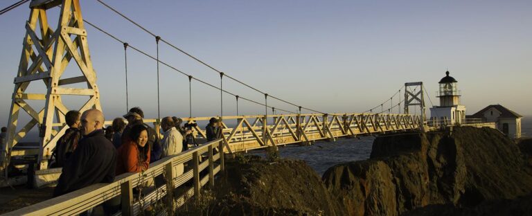 PtBonita01 1 768x312